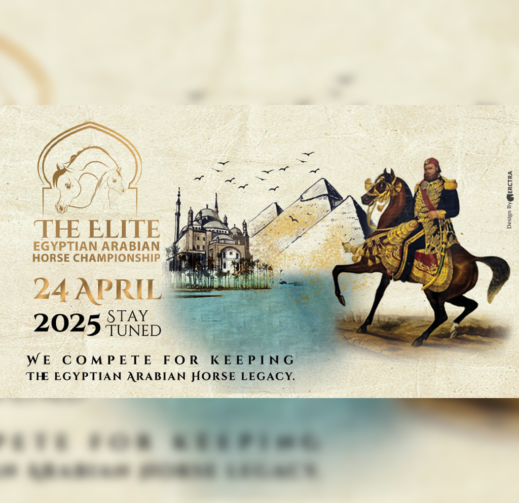 The Elite Egyptian AHC 2025